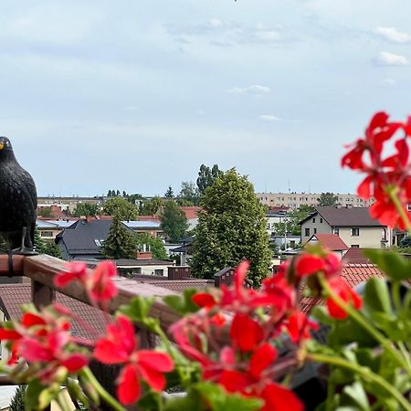 Przytulna Przestrzen W Ilawie Ilawa Bagian luar foto