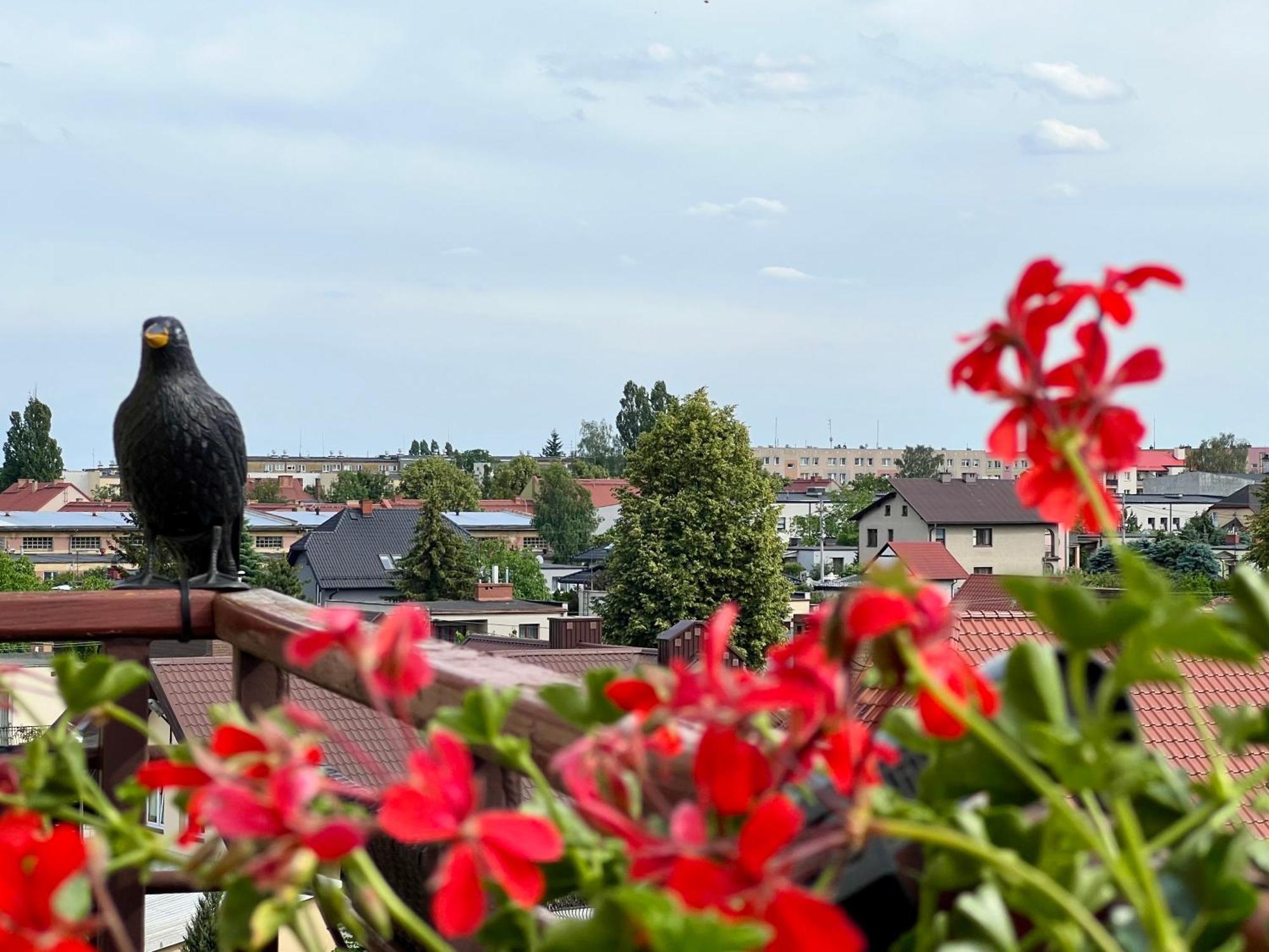 Przytulna Przestrzen W Ilawie Ilawa Bagian luar foto